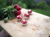 Geek: Toad le champignon Nintendo en radis