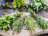 Pouvoir incroyable des herbes aromatiques dans la cuisine