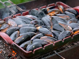 S moules au barbecue, une façon originale de cuire vos fruits de mer