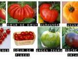 Retour du marché #1 - la tomate
