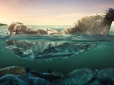Boire de l’eau contenant des microplastiques : quels effets sur la santé