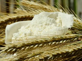 Sarrasin : guide complet, propriétés nutritionnelles et avantages pour les intolérants au gluten