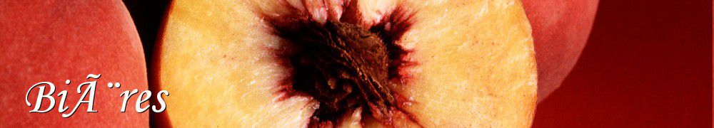 Recettes de BiÃ¨res