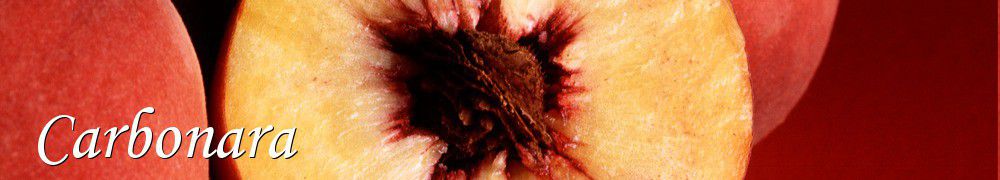 Recettes de Carbonara