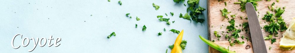 Recettes de Coyote