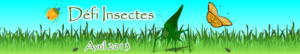 Recettes de Défi - Insectes