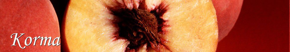 Recettes de Korma