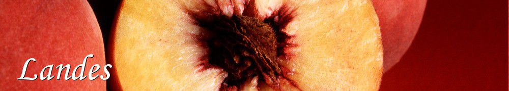 Recettes de Landes